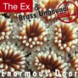 Buy The Ex & Brass Unbound - ENORMOUS DOOR New or Used via Amazon