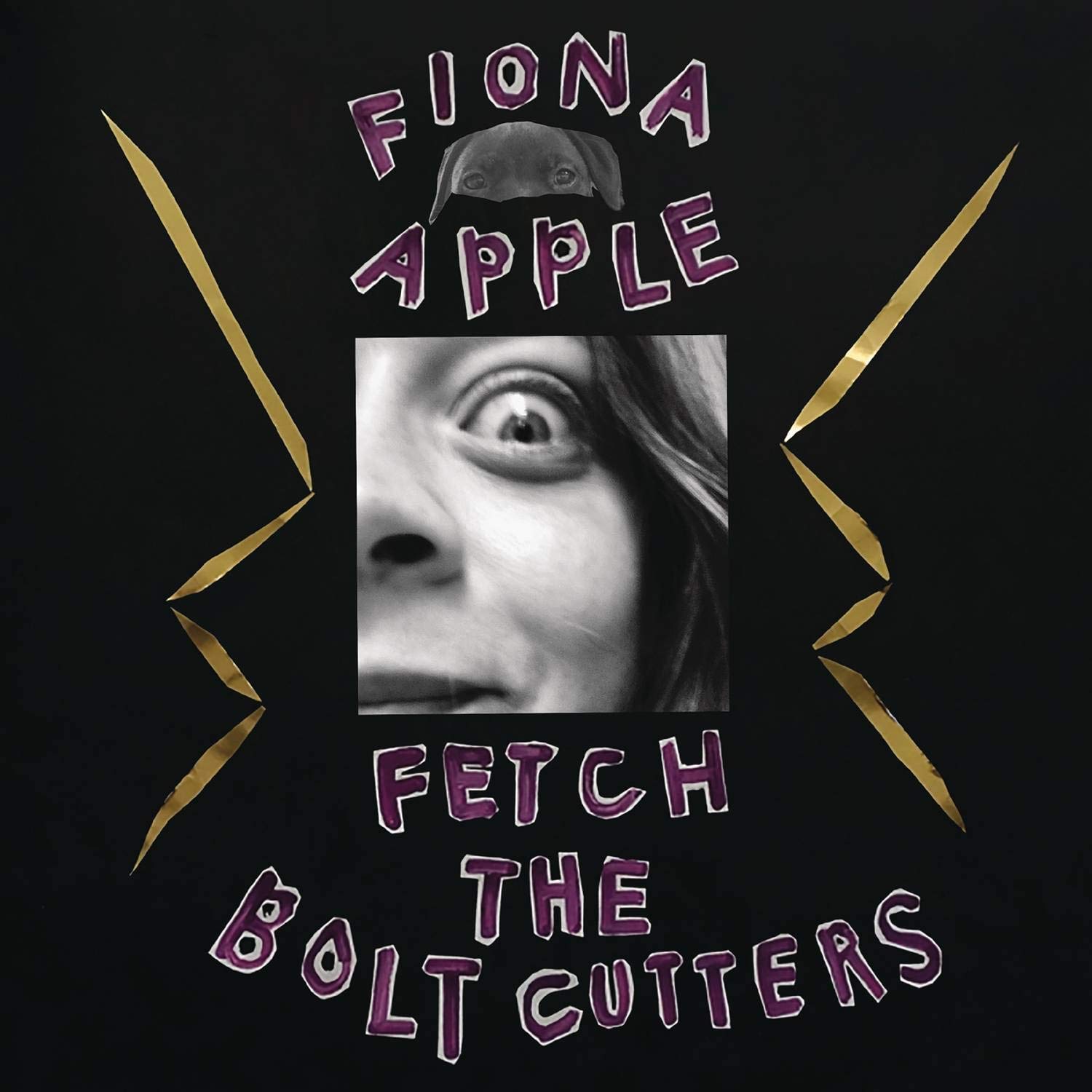 Buy FIONA APPLE – Fetch the Bolt Cutters New or Used via Amazon