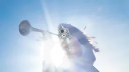 Geese - Getting Kiled